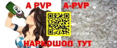спиды Аргун